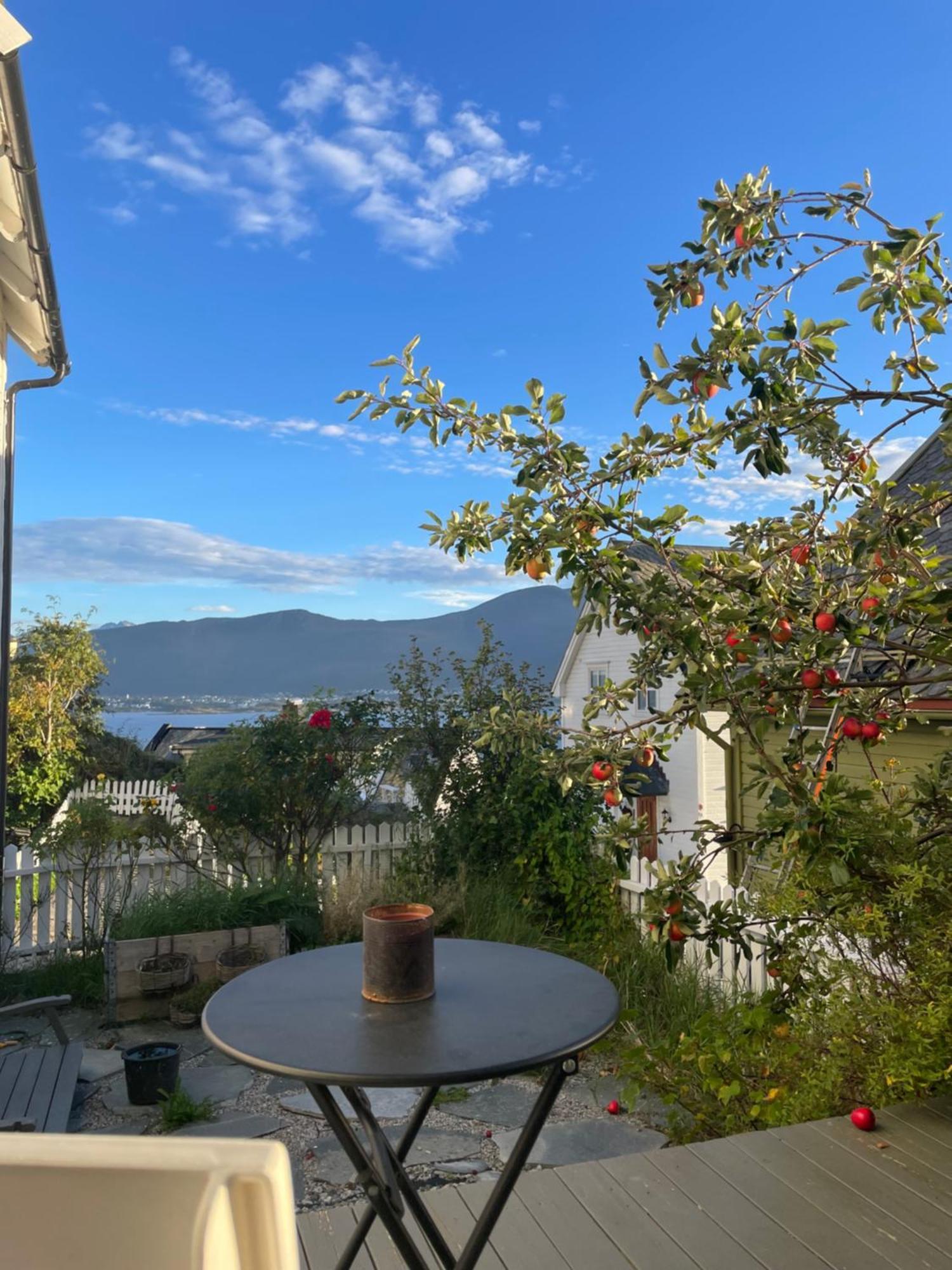 Koselig Leilighet I Sentrum Ålesund Zewnętrze zdjęcie